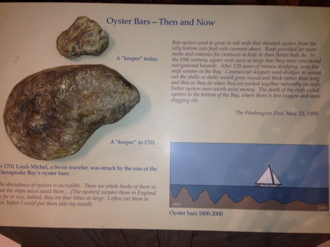 We were blown away by the dramatic change in size