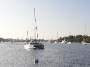 If you think this looks full, just wait