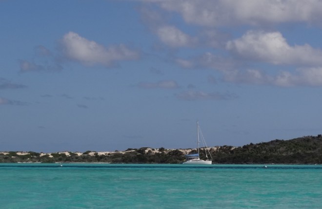 Lonesome Ortolan at Warderick Wells north mooring field