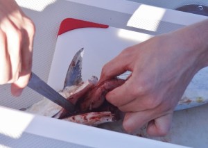 This is not the fun part of fishing.