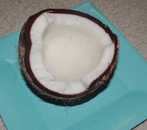 First found coconut-someone worked very hard to crack this nut
