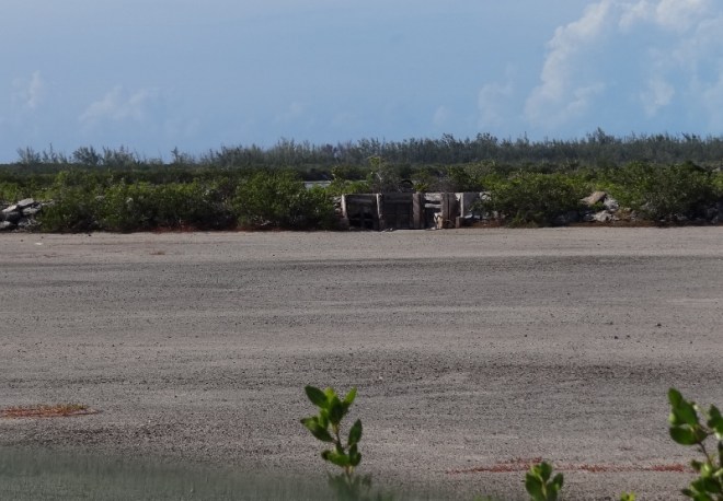 Salt flat with gate just visible in background