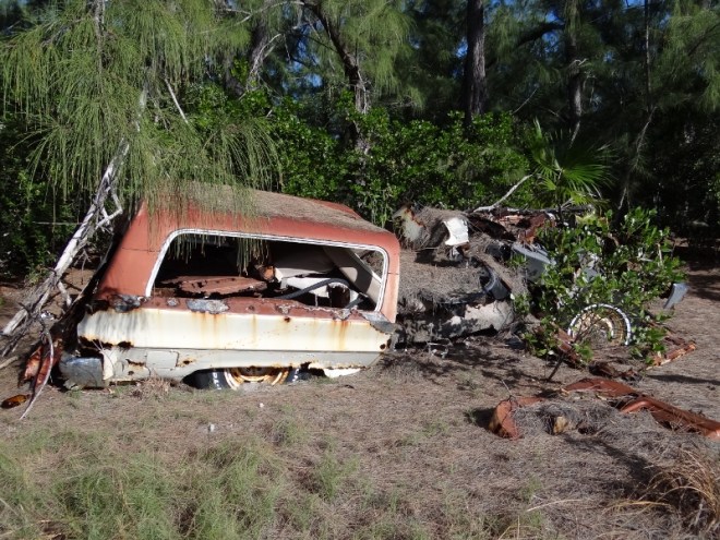Maybe an old Chevy truck? Seen better days for sure