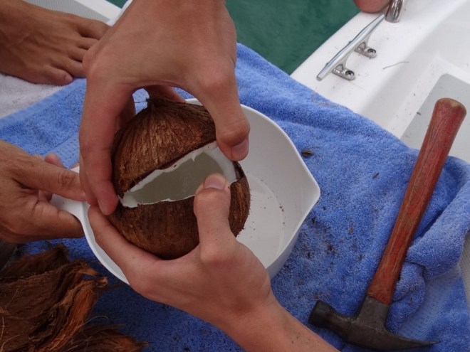 Crack open the coconut and save the milk- or add gin and drink it, then nap