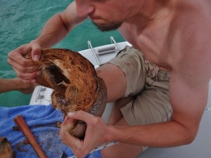 Not a job for weaklings; rip open the outer husk after you cut all the way around