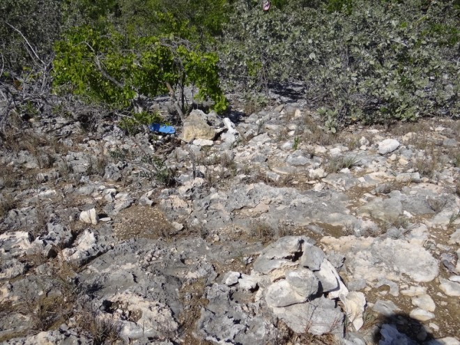 This path was well marked with cairns and flip flops