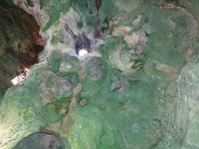 Looking straight up at one of the cave's skylights