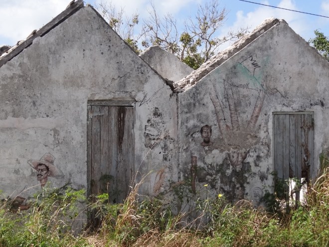 A rare specimen with wall art- kinda Mexican farmer looking to me