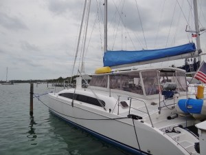 Bird in a web- no flight for this lady