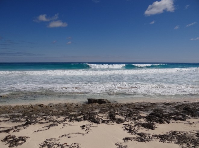 The ocean was very active off Guana Cay- surfing anyone?