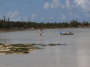The other side of Rock Sound Harbor. We head in for a low tide beach exploration