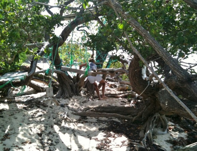 Tahiti Beach at high tide. I work my way around in search of sea glass; first climbing through a jungle gym in the trees