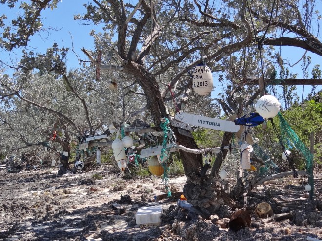 Signing trees at Allan's Cay