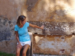 By one of its two fireplaces- can see the exposed tabby