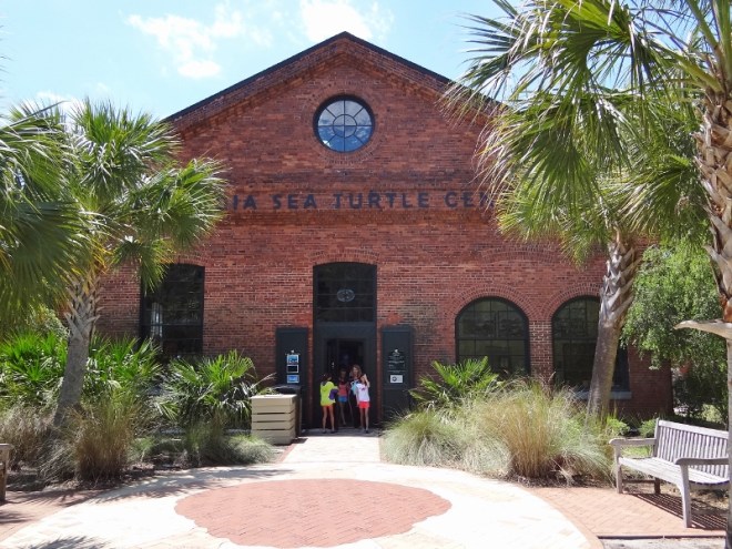The GA sea turtle center located a short distance from the Pier Rd shops