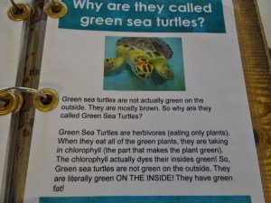 Did you ever wonder why?.....