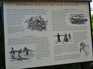 This sign provided a good basic intro to growing rice