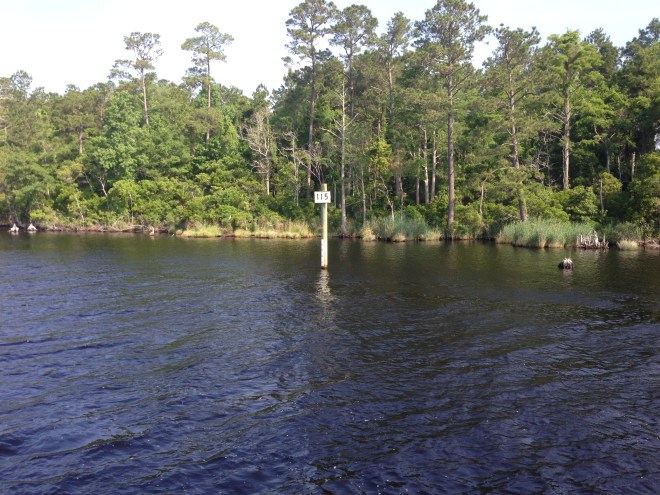 Mile marker 115 in the Alligator-Pungo Canal. Some states have these every five miles.