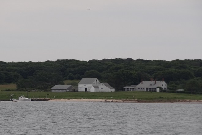 Doesn't this look like a painting? 