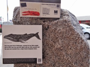 These signs on granite posts were everywhere and offered up historical tidbits