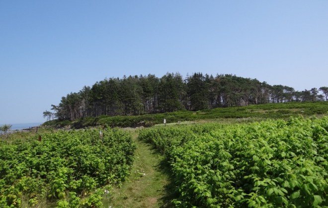 Along the perimeter path the foliage and view changed constantly
