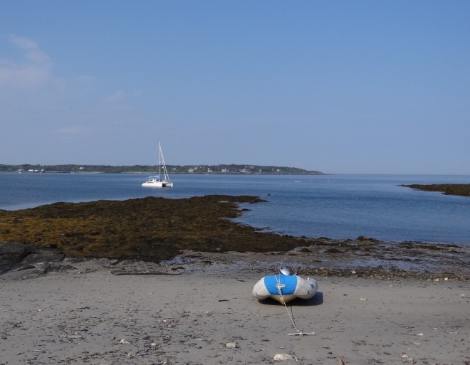 Russ found a piece of PVC pipe and we used it to roll Bunting into the water. The dark mass is rocks