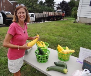 Summer squash- just what I needed 