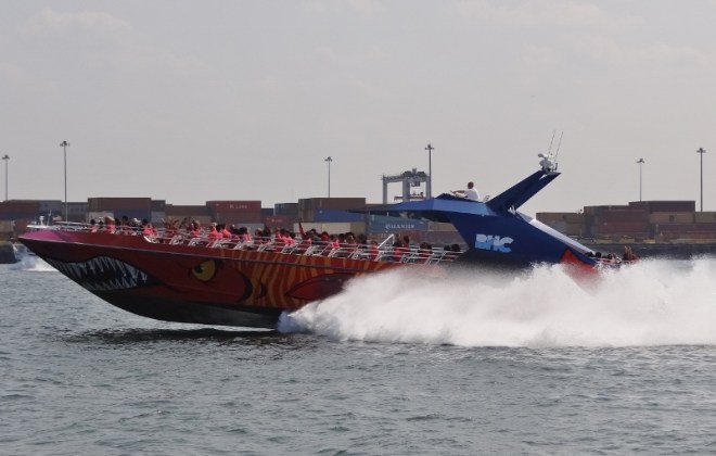 You can take a fast and wild ride on Codzilla (get it? Cape Cod)