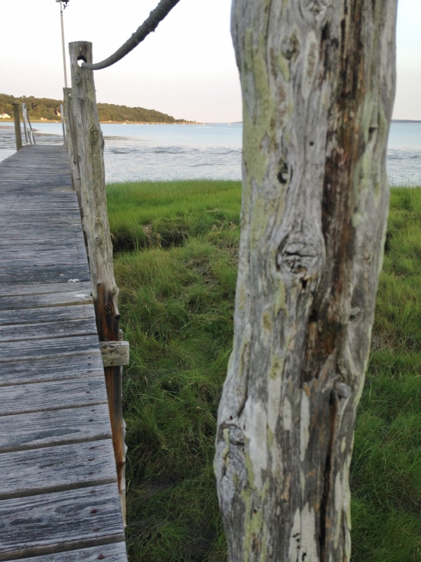 ????????????????????????????