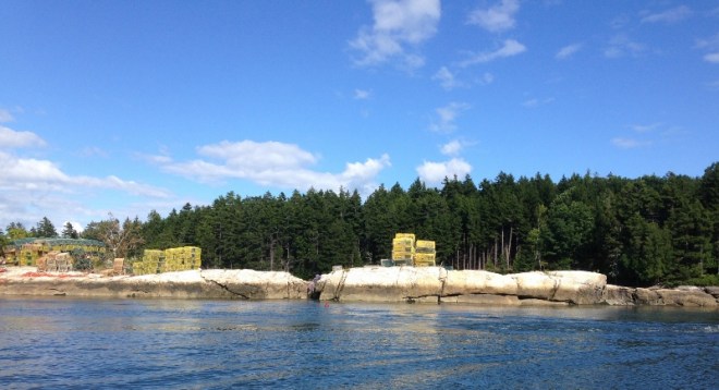 Lobster traps can be found everywhere- on shore, on rafts in the water and on the rocks
