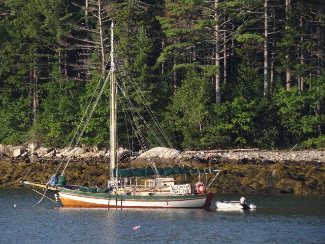 Notice how the boat's colors mirror the landscape?