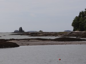 Looking out away from the marina toward Oar Island