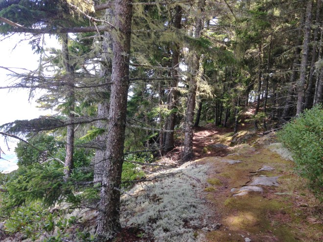 ????????????????????????????????????