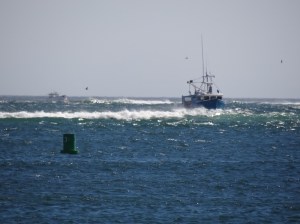 The local vessels navigate with ease