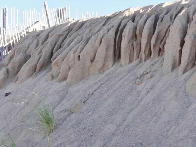 Mother Nature creates spooky sand at Sandy Neck Beach