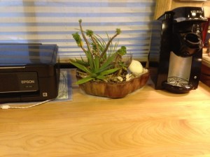 The lineup: printer, cactus planter circa 2010 and Keurig for Russ