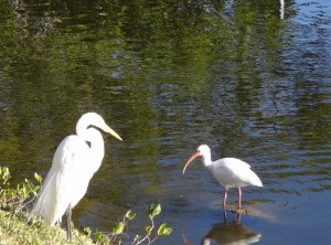 Oh, do you come here often?