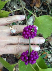 Yaupon- in my favorite color