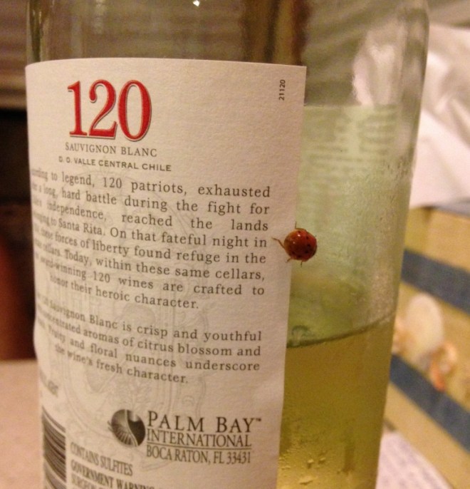 Fortunate ones found moisture on bottles and glasses