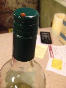 In case you were wondering- she made it to the top.