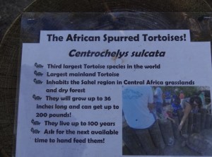 ????????????????????????