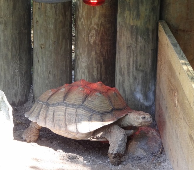 ??????????????????????????????