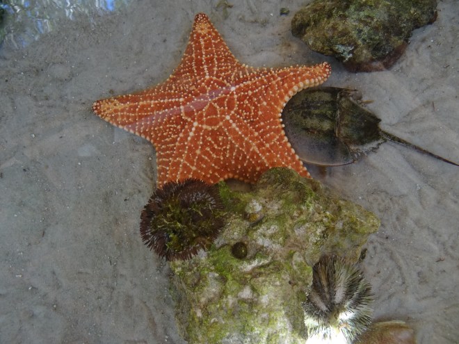 ?????????????????????????????????