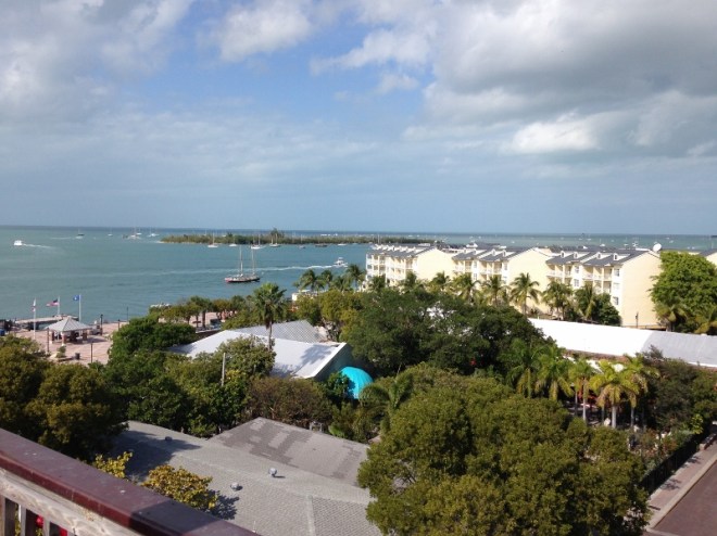 View from atop the tall watch tower