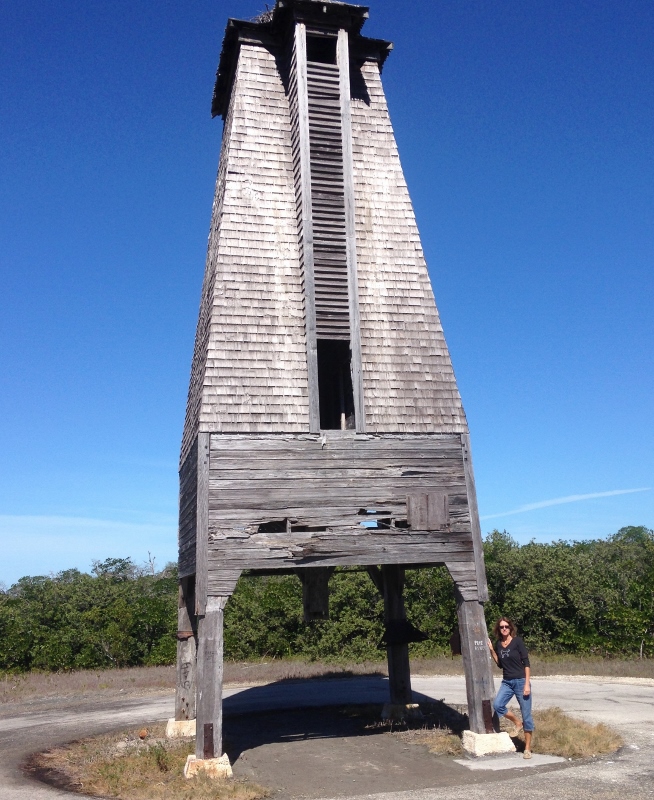 You can get an idea of its height- at least 30-40ft- not counting the huge osprey nest