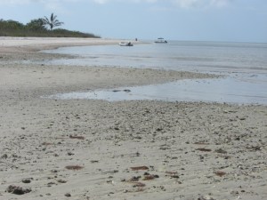 Panther Key- a stop in Feb 2011 aboard Ortolan