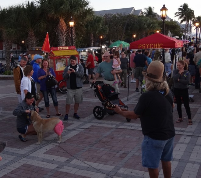 Evening entertainment at Mallory Sq- always brings a smile