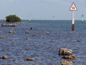 Remains of old causeway at Convoy Point in Biscayne Nat'l Park
