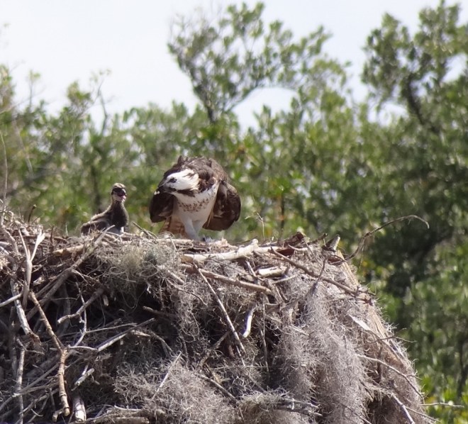 One day older and eager to eat