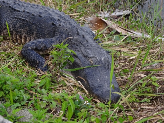 The eye just cracks open- I see you